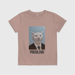 Футболка хлопковая детская Приемлемо - кот мем в живописи, цвет: пыльно-розовый