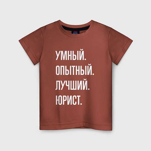 Детская футболка Умный, опытный, лучший юрист / Кирпичный – фото 1