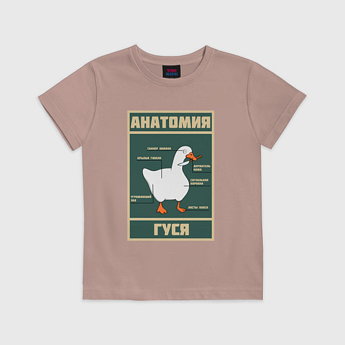Детская футболка Анатомия гуся / Пыльно-розовый – фото 1