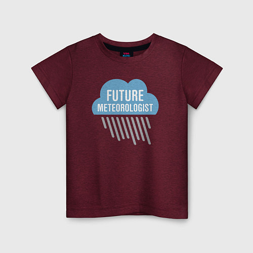 Детская футболка Будущий метеоролог / Меланж-бордовый – фото 1
