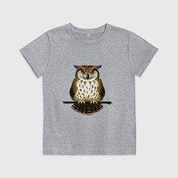 Футболка хлопковая детская Классная сова на ветке, цвет: меланж