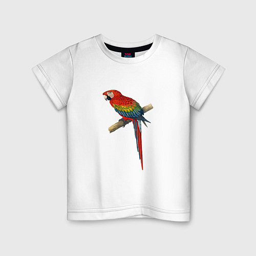 Детская футболка Попугай ara macaw / Белый – фото 1