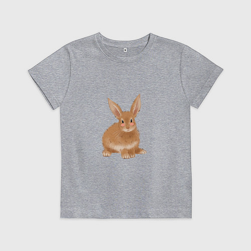 Детская футболка Милый пушистый зайка / Меланж – фото 1