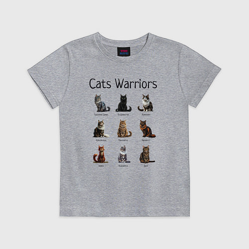 Детская футболка Коты воители / Меланж – фото 1