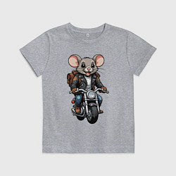Футболка хлопковая детская Biker mice, цвет: меланж