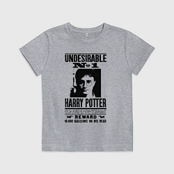 Футболка хлопковая детская Harry Potter - wanted, цвет: меланж