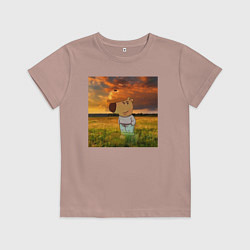 Футболка хлопковая детская Чисто чилловый парень, цвет: пыльно-розовый