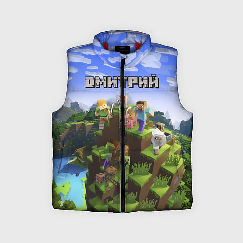 Детский жилет Майнкрафт: Дмитрий / 3D-Красный – фото 1