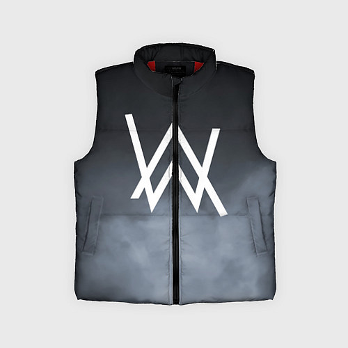 Детский жилет Alan Walker / 3D-Красный – фото 1