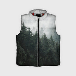 Детский жилет Туманный хвойный лес