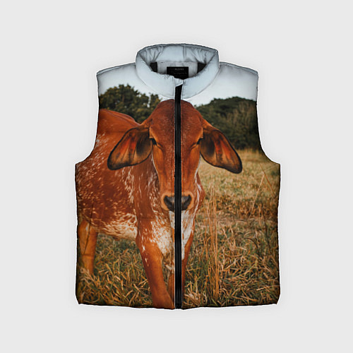 Детский жилет Коровка на поле / 3D-Черный – фото 1