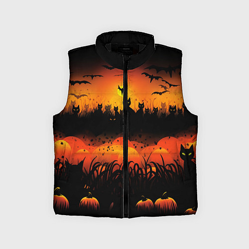 Детский жилет Кошки хэллоуина / 3D-Черный – фото 1