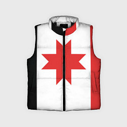 Детский жилет Флаг Удмуртии, цвет: 3D-черный