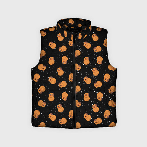 Детский жилет Мини капибары в космосе / 3D-Черный – фото 1