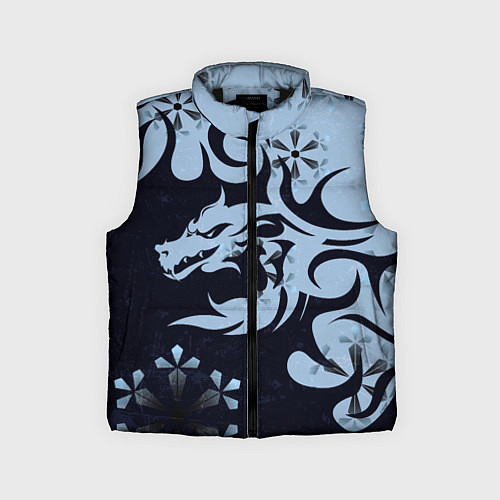 Детский жилет Дракон со снежинками / 3D-Черный – фото 1