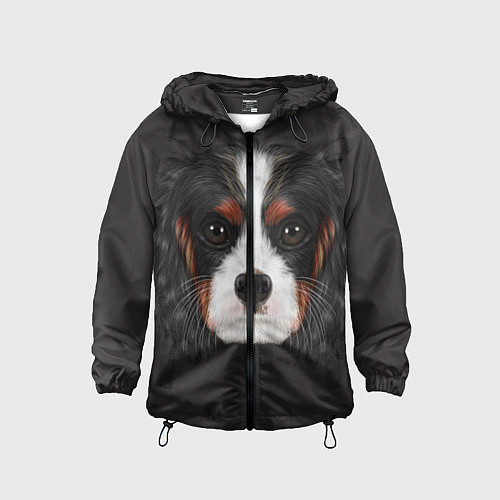Детская ветровка Cavalier King Charles / 3D-Черный – фото 1