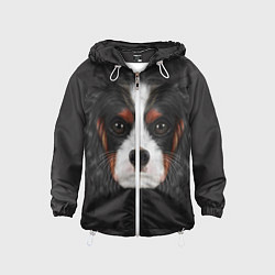 Детская ветровка Cavalier King Charles