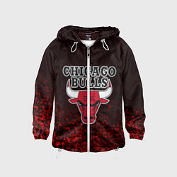 Детская ветровка CHICAGO BULLS