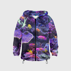 Ветровка с капюшоном детская Коралловые рыбки, цвет: 3D-черный