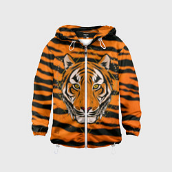 Ветровка с капюшоном детская Тигр настоящий хищник, цвет: 3D-белый