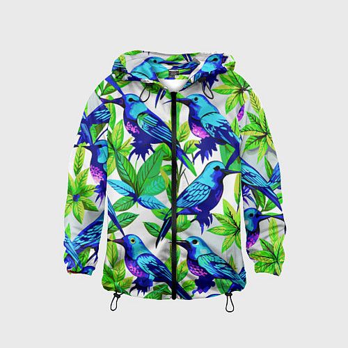 Детская ветровка Паттерн маленькое синее колибри / 3D-Черный – фото 1