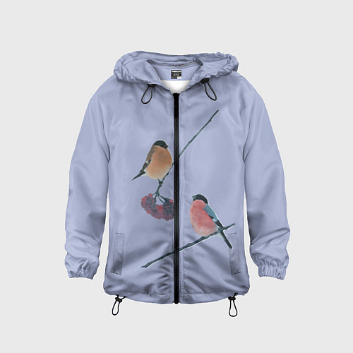 Детская ветровка Снегири на ветке / 3D-Черный – фото 1