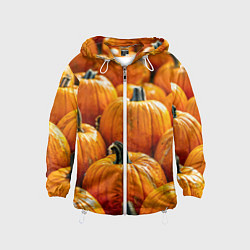 Детская ветровка Много тыкв