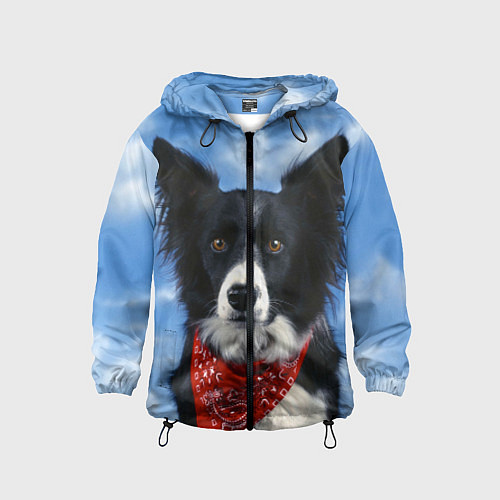 Детская ветровка Бордер-колли / 3D-Черный – фото 1