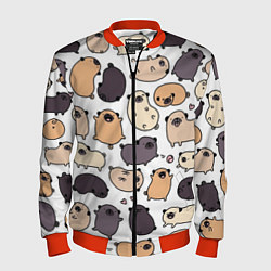Мужской бомбер Милые мопсы