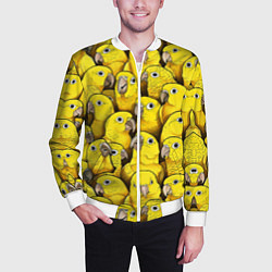 Бомбер мужской Попугаи, цвет: 3D-белый — фото 2