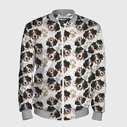 Мужской бомбер Зенненхунд Бернский