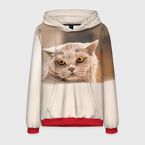 Мужская толстовка Британец 7 / 3D-Красный – фото 1