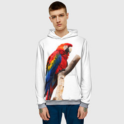 Толстовка-худи мужская Яркий попугай, цвет: 3D-меланж — фото 2