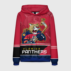 Мужская толстовка Florida Panthers