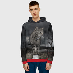 Толстовка-худи мужская Кот, цвет: 3D-красный — фото 2