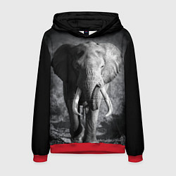 Толстовка-худи мужская Бегущий слон, цвет: 3D-красный