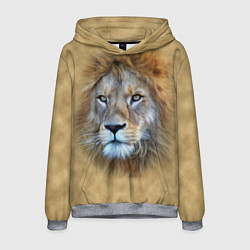 Толстовка-худи мужская Песчаный лев, цвет: 3D-меланж