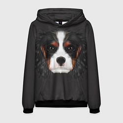 Мужская толстовка Cavalier King Charles