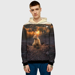 Толстовка-худи мужская Солнечный зайчик, цвет: 3D-черный — фото 2