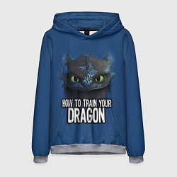 Мужская толстовка How to train your dragon