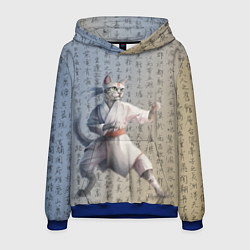 Толстовка-худи мужская Karate cat, цвет: 3D-синий