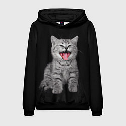 Толстовка-худи мужская Кричащий кот, цвет: 3D-черный