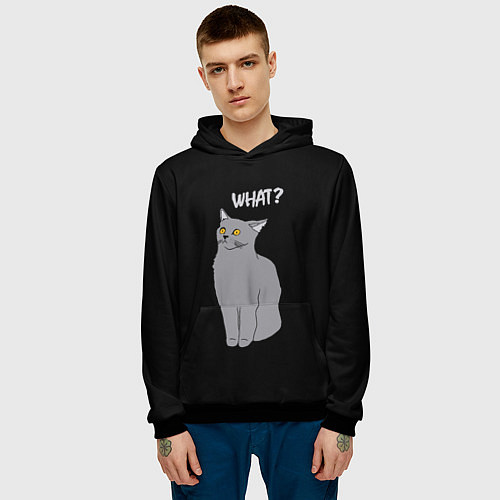 Мужская толстовка What cat / 3D-Черный – фото 3