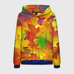 Толстовка-худи мужская Осенние листья, цвет: 3D-синий