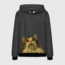 Толстовка-худи мужская Коте смотрит вверх, цвет: 3D-черный