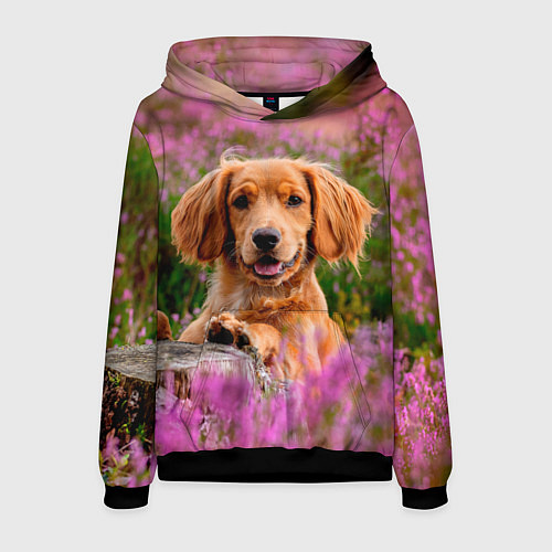 Мужская толстовка Dog / 3D-Черный – фото 1