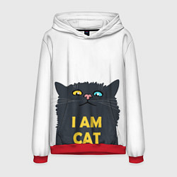 Мужская толстовка I AM CAT