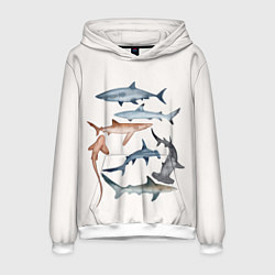 Толстовка-худи мужская Акулы, цвет: 3D-белый