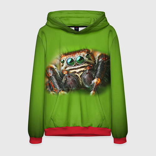 Мужская толстовка ПАУК ВБЛИЗИ / 3D-Красный – фото 1