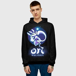Толстовка-худи мужская Ori and the Will of the Wisps, цвет: 3D-черный — фото 2